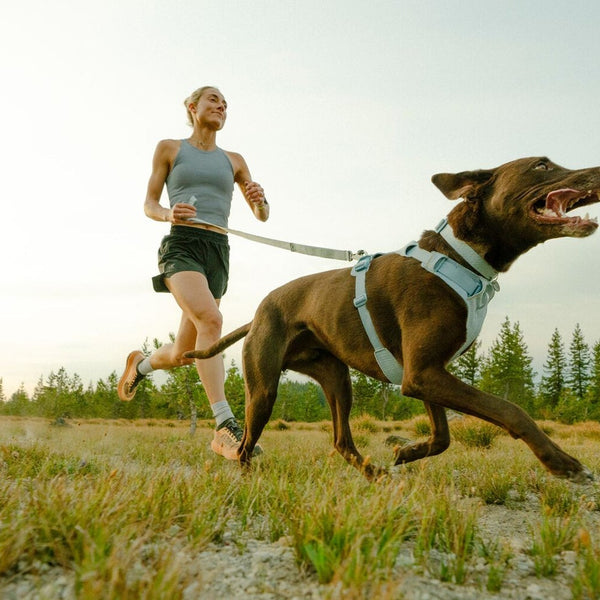 A woman and dog run together
