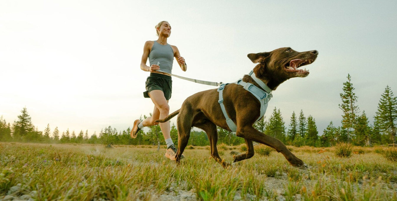 A woman and dog run together