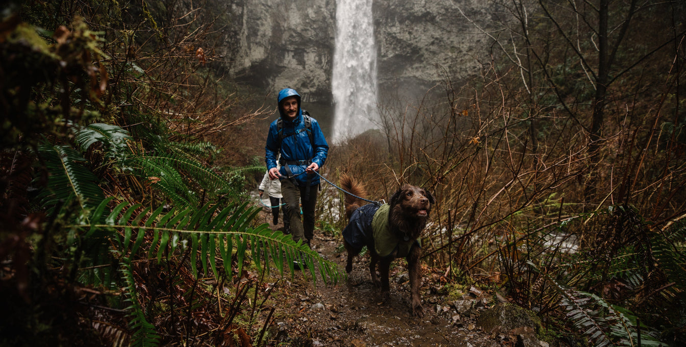 A man and dog walk on a muddy hiking trail near a waterfall.