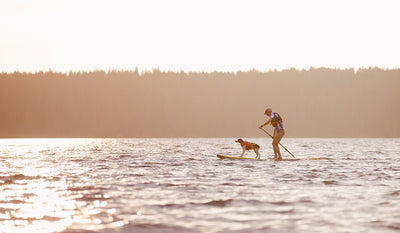 human and dog in float coat dog life vest on stand up paddleboard in middle of lake.