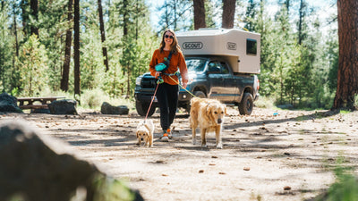 A woman walks with her dog and puppy at a campsite. 