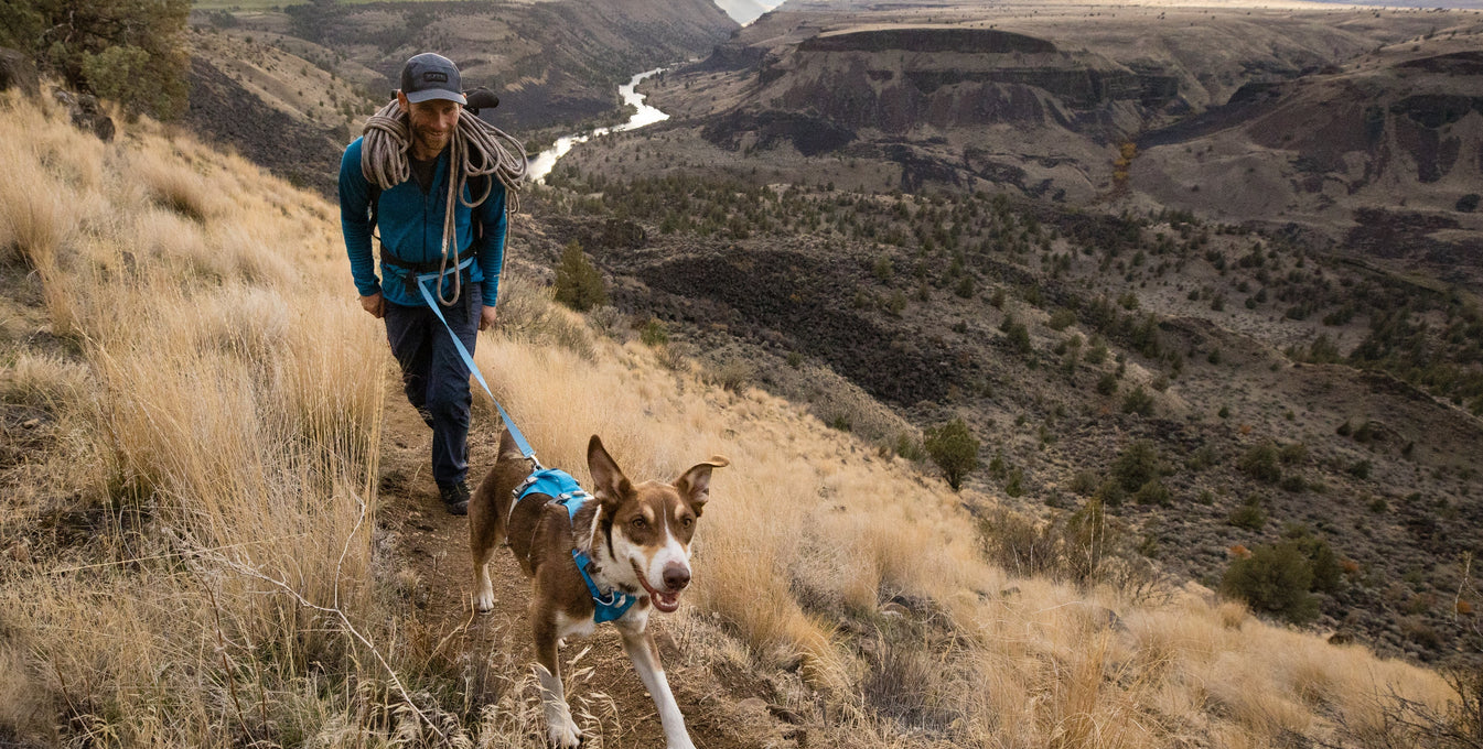 Waypoints: Max Tepfer & Billy