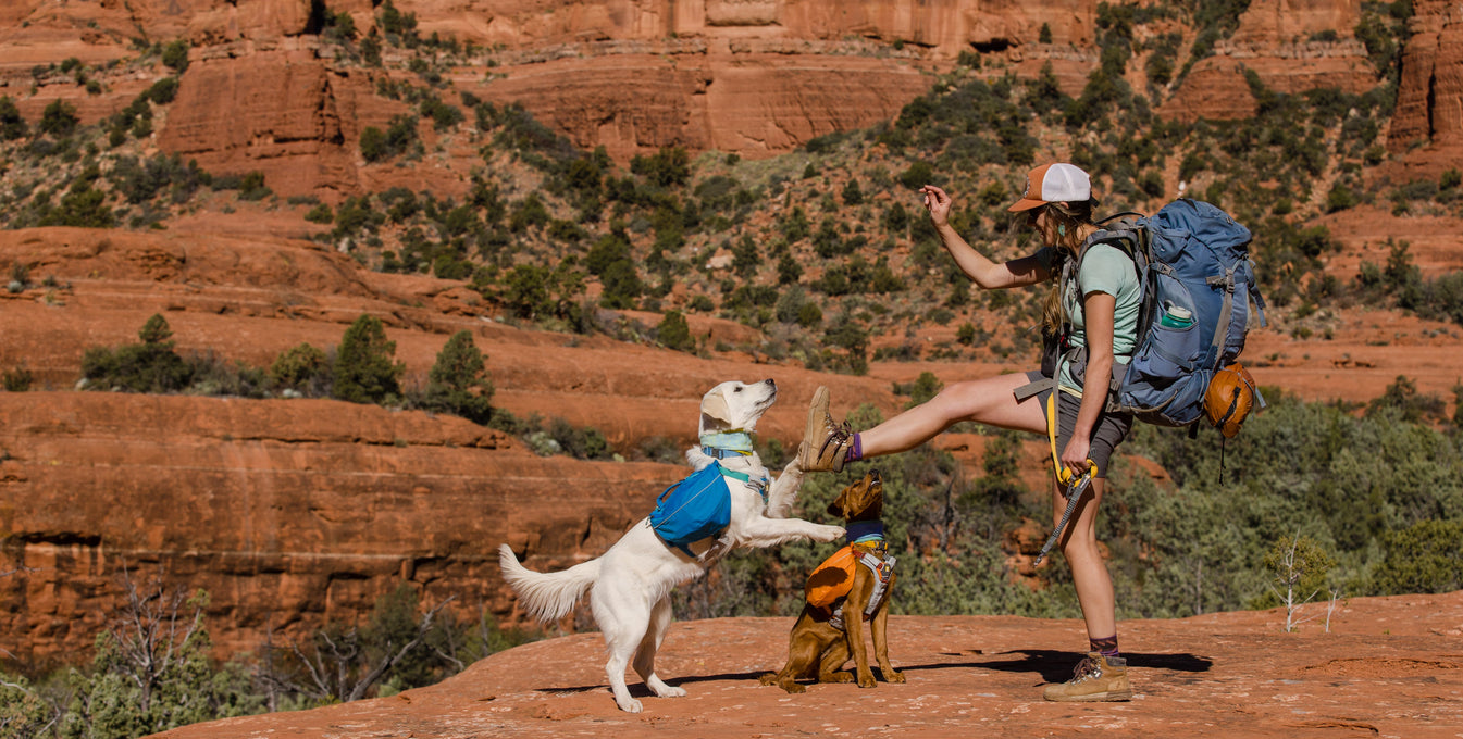 Hailey and her dogs Ripley and Skye backpacking in Sedona