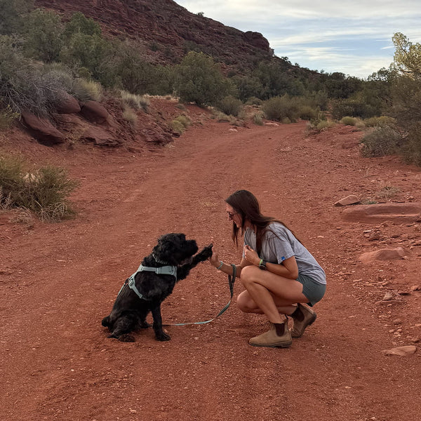 A human and dog from the AHS sit on a trail together