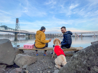Two men sit by the water in a city with their dog.  