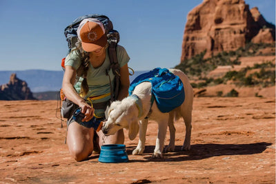 A human dog duo backpack on red rocks. 