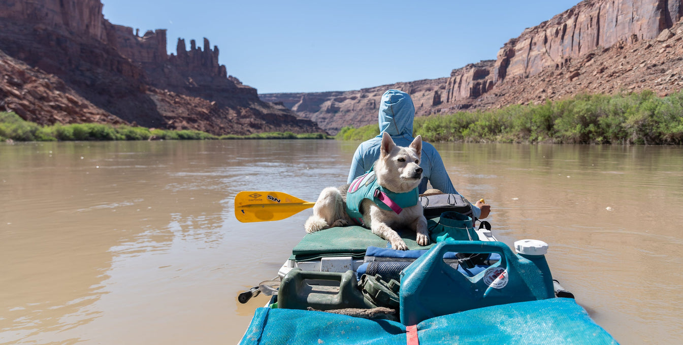 A woman and her dog sit on a raft while river rafting. 