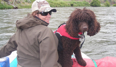 Dove and dog midge in float coat sit on the bow of a boat on the river.