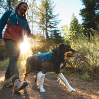 Dog in the Climate Changer™ Coverall on a hike with his human.