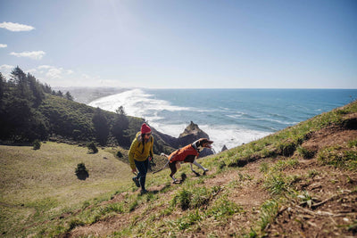 Woman and dog in overcoat fuse jacket and harness combo hike up hill on Oregon coast hike.