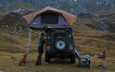 A man and his two dogs with their van camping setup. 