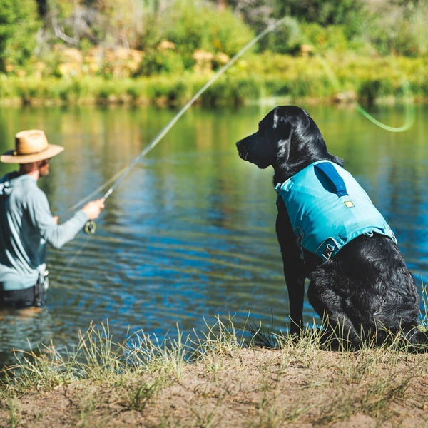A human and senior dog fish together.