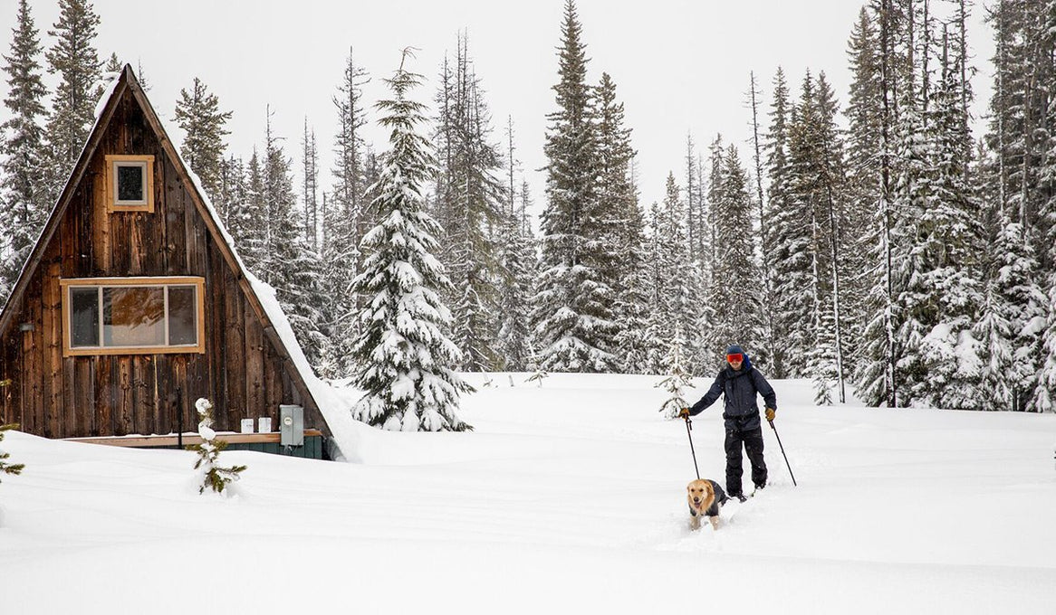 Dog in cloud chaser waterproof jacket leads the way through deep snow next to an a frame hut while human follows behind skiing.