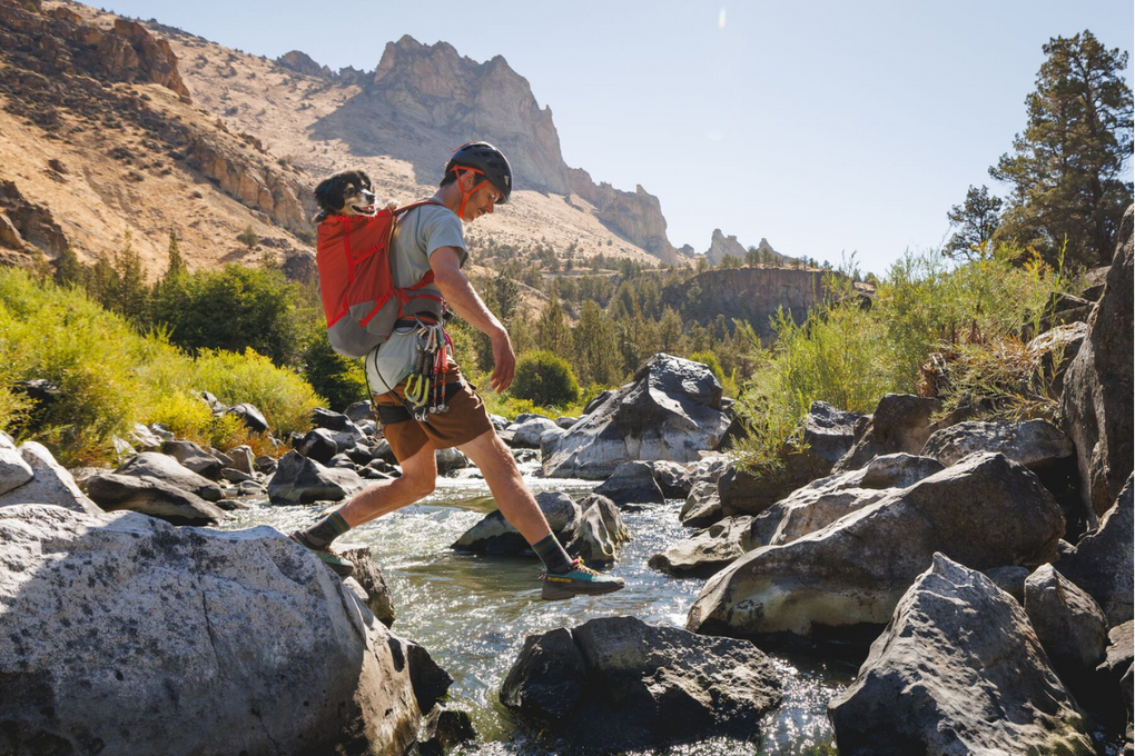 Man hiking with dog using the Hitch Hiker™ Carrier.