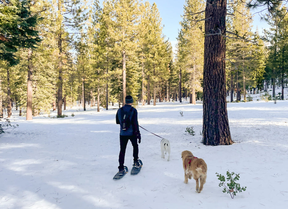 A dog smiles in the snow while another dog runs by. 