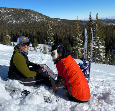 A woman wearing skis sits on a snow-covered mountain with her Bernese Mountain Dog. 