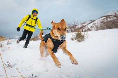 A man and dog running through the snow.