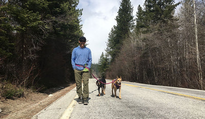 Man walks along road with two dogs on waist-worn Ruffwear leashes.