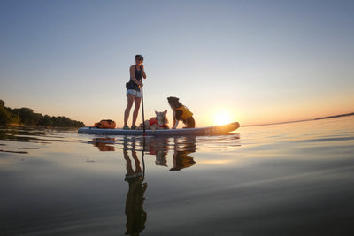 A woman and her two dogs go paddleboarding on a lake. 