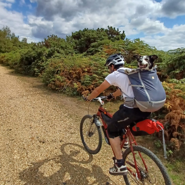 Man riding his bike with dog in Hitch Hiker Dog Backpack Carrier.
