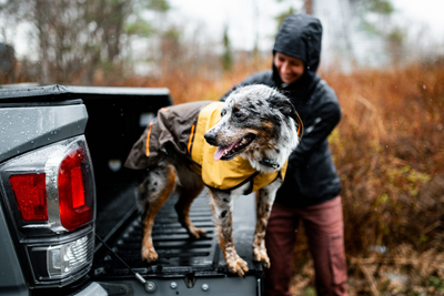 Dog and human getting ready for a rainy adventure.