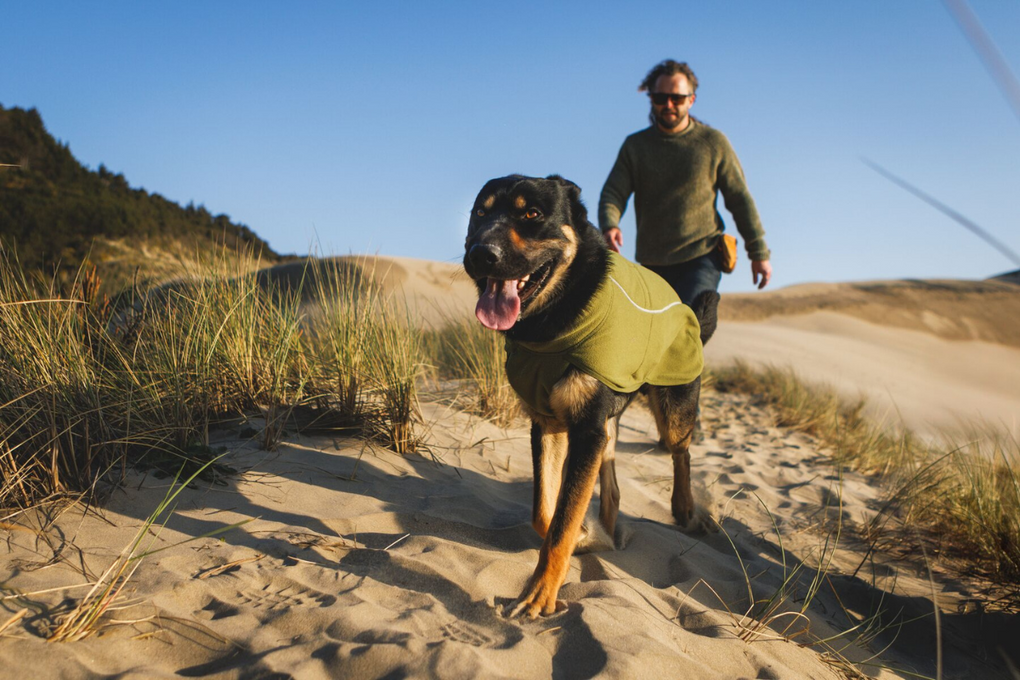 Man and dog hiking on the beach.