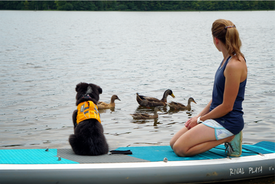 Maria and puppy Willow in float coat sit on paddleboard looking at ducks.