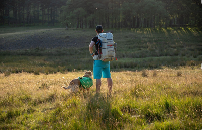 A man stands in a field with his dog while on a backpacking trip. 