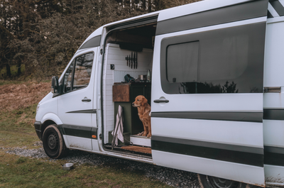 A Golden Adventure: Road Tripping With Two Dogs
