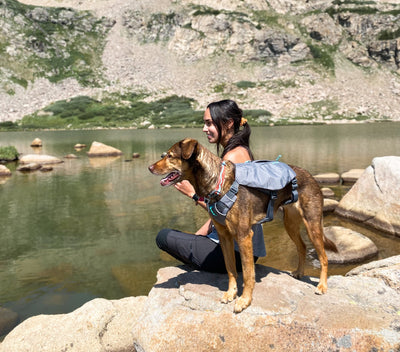 A woman sits with her dog by a mountain lake. 