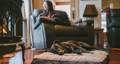 A woman sits in a chair at home while her dog lays next to her on a dog bed on the floor. 