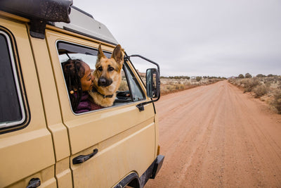 Dog and woman looking out car window on dirt road