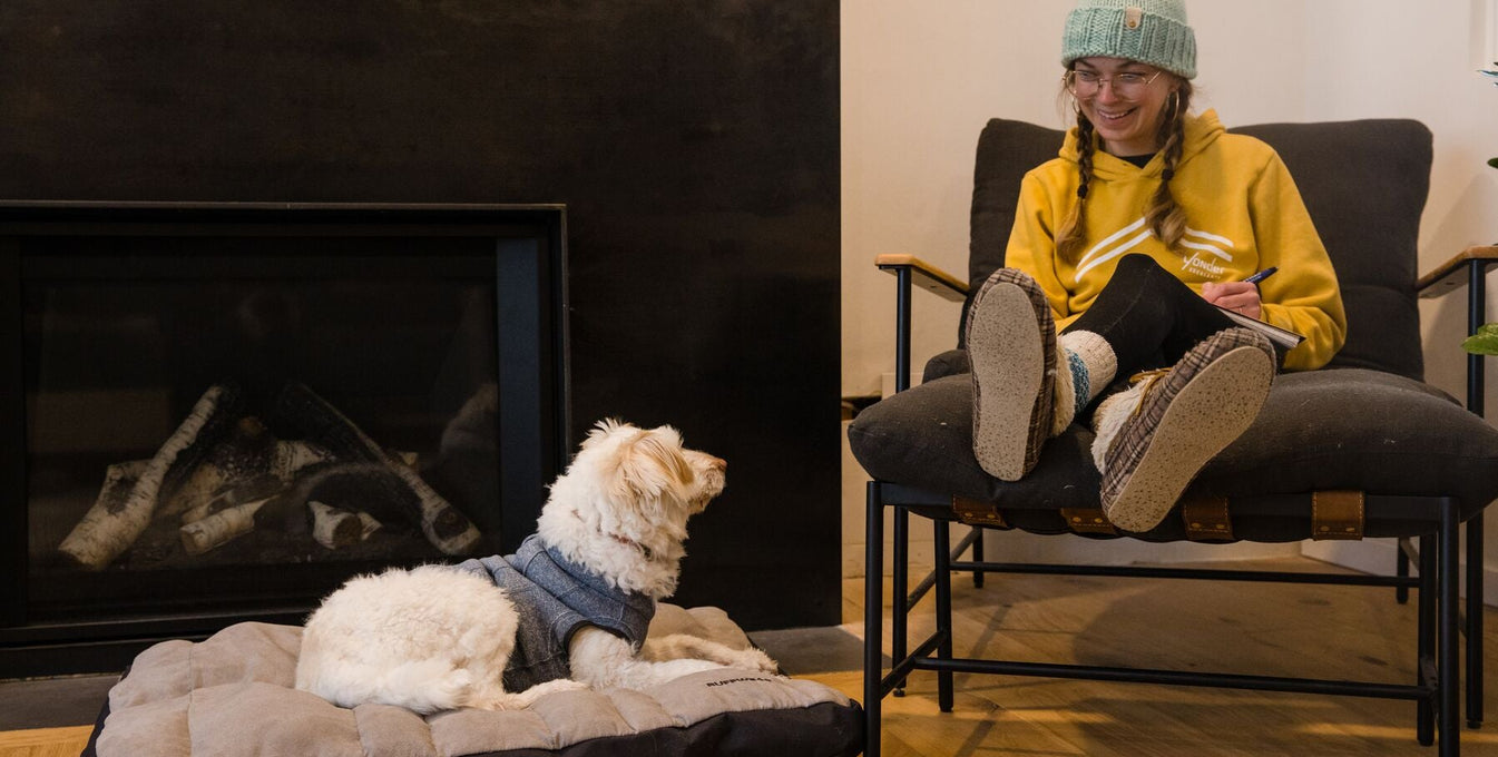Dog sitting on a bed next to a woman reading a book
