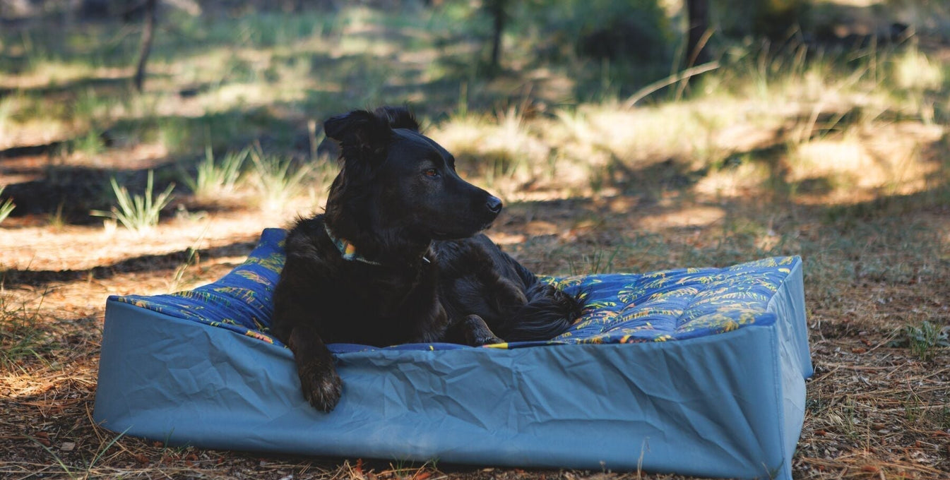 Behind the Design of the Mt EverRest™ Dog Bed & Cot Cover