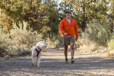 A man walks on a dirt path in nature with his dog who wears a Front Range® Harness.
