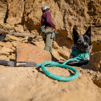 A human gets ready to rock climb with their Blue Heeler by their side.