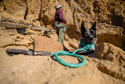 A human gets ready to rock climb with their Blue Heeler by their side.