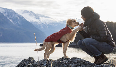 Ambassador Chris gets a handshake from her dog Sammy in an overcoat utility jacket in front of the Chilkat mountain range.