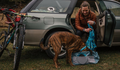 Dog with head inside haul bag looking for treats while woman looks on at the car after mountain bike ride.