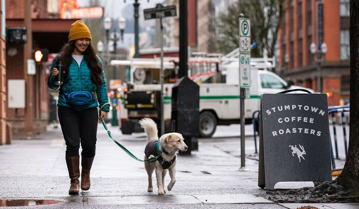Dog in stumptown jacket walks with human carrying stumptown coffee cup by Stumptown coffee roaster sign.