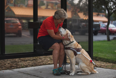 Nancy's guide dog Abbie leans in to give her a kiss while they sit at the bus stop.