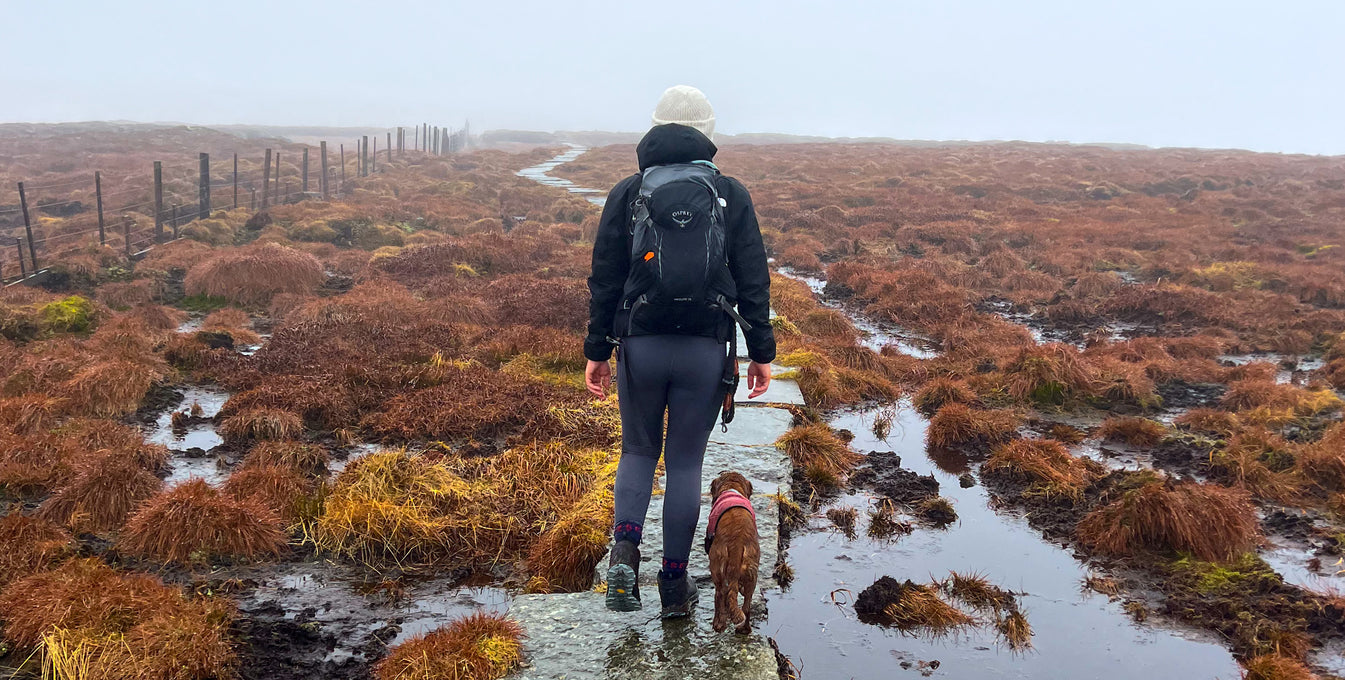 Woman and dog walking away on a trail in wet, boggy conditions.