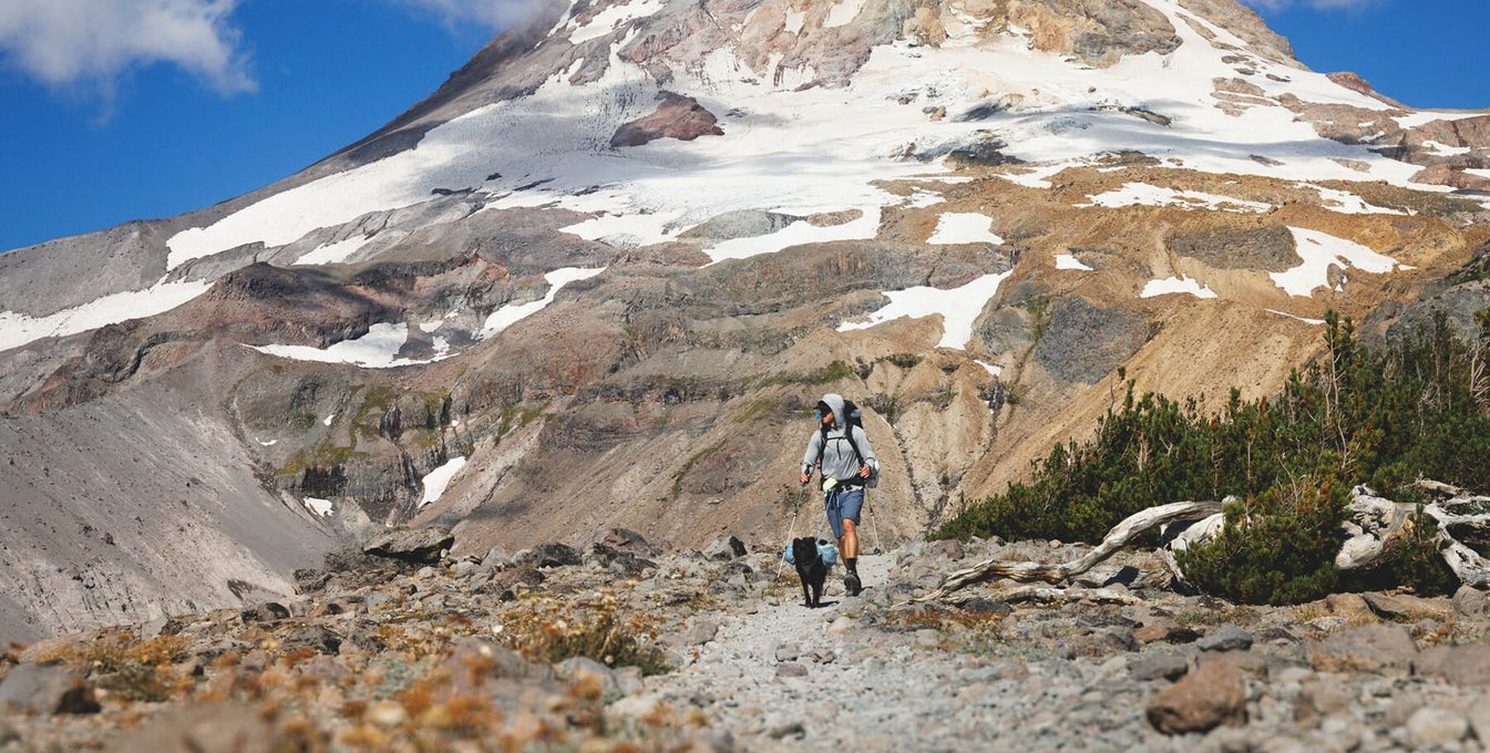Alex and Raya backpack on Mt. Hood