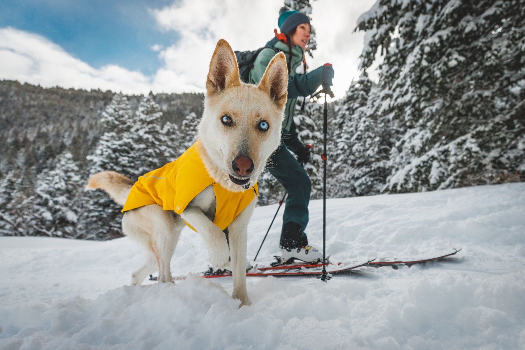 Outdoor Performance Dog Gear Ruffwear