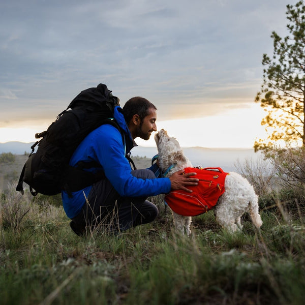 A human stands by a lake with their dog at sunset