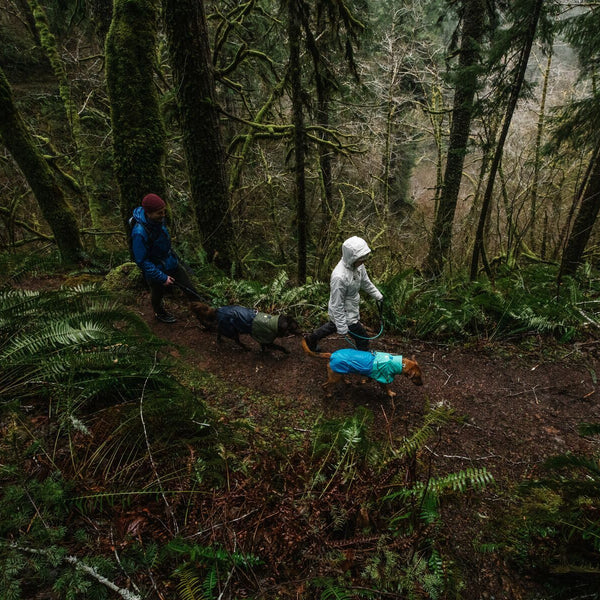 Rain & Water Solutions