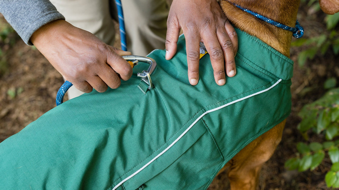 INTEGRIERTES GESCHIRR