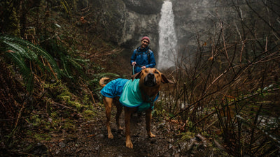 Human hiking with one-eyed dog in raincoat in front of waterfall.