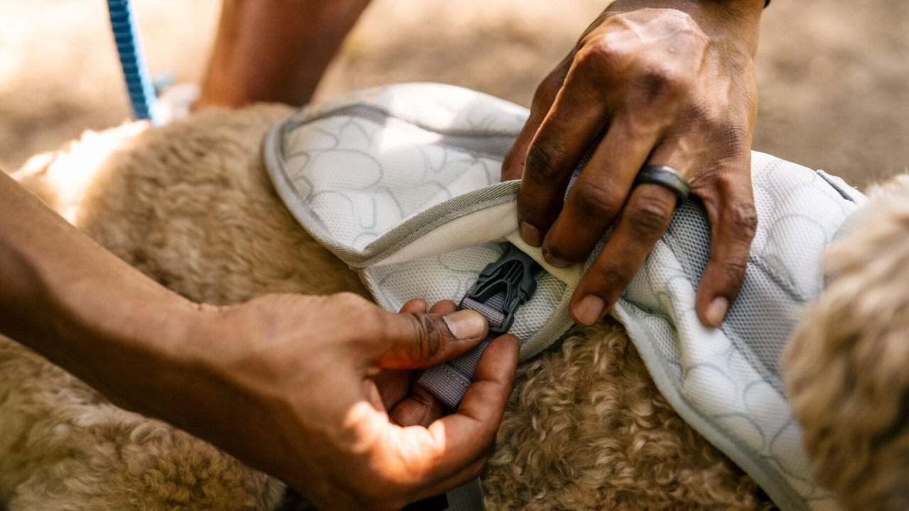 SIDE-RELEASE BUCKLES