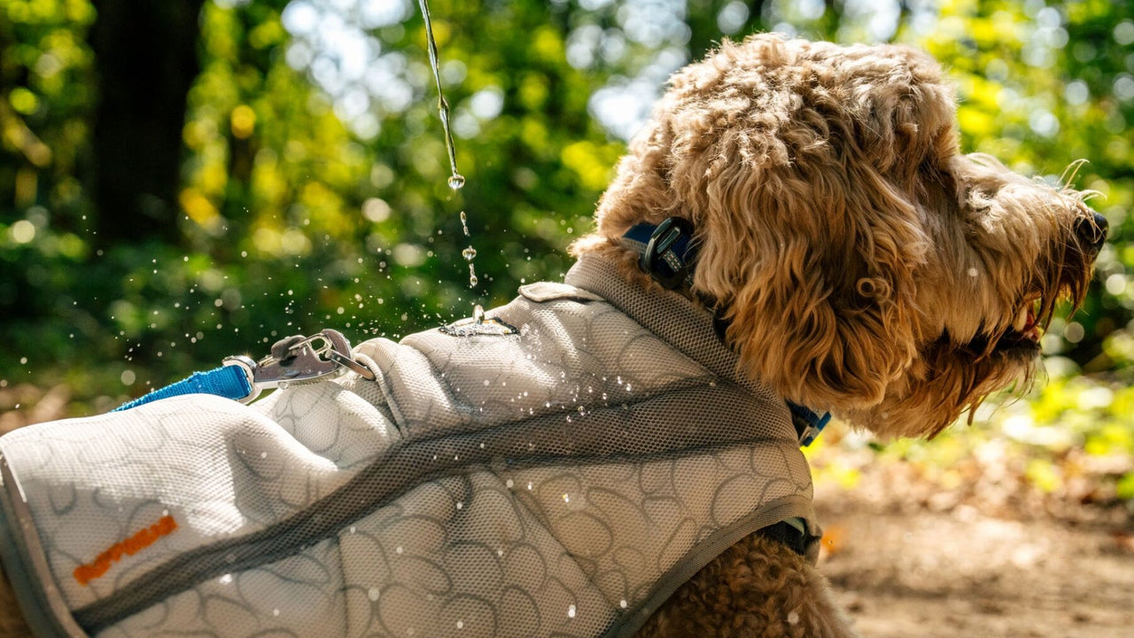 THREE-LAYER CONSTRUCTION